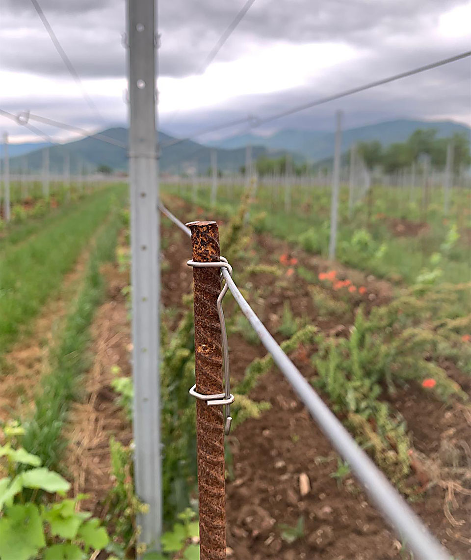 organic-farming-01